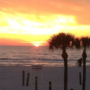 Meet your Posher, Lorrie